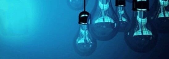 lightbulbs-symbolizing-the-light-of-knowledge